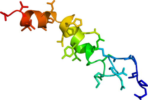 Orexin