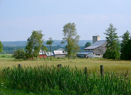 Oro-Medonte