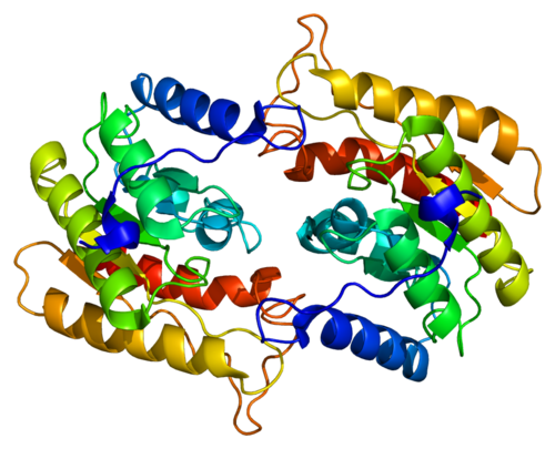 PAFAH1B2