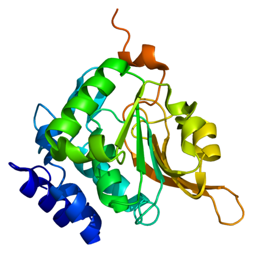 PCMT1