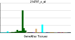 PCTK3