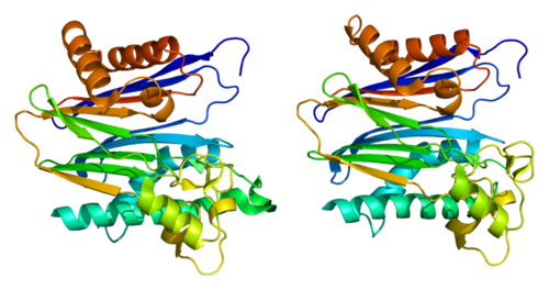 PPM1B