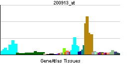 PPM1G