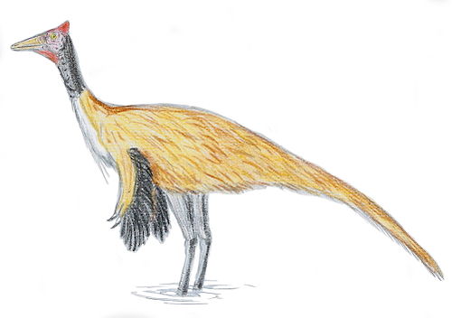 Pelecanimimus