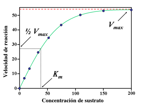 Pharmacokinetics