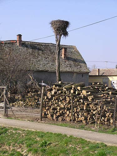 Popovac