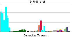 RNASET2