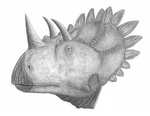 Regaliceratops