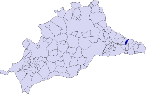 Salares