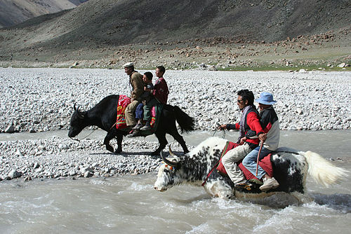 Shimshal