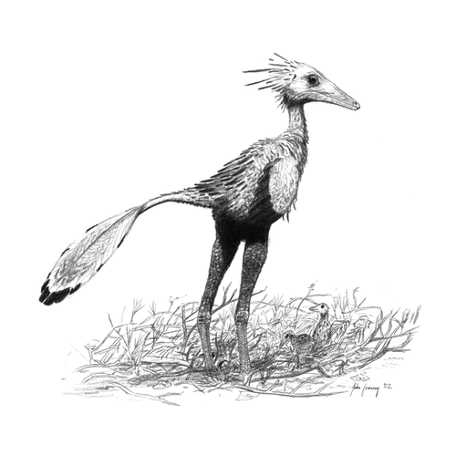 Sinornithoides