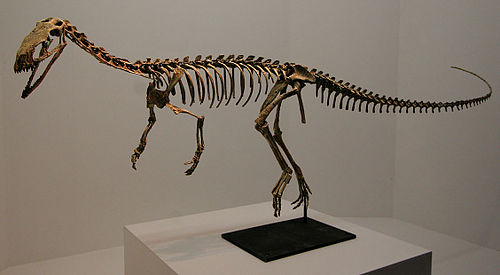 Theropoda