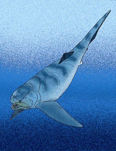 Titanichthys