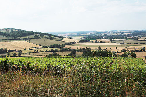 Villaines-les-Prévôtes