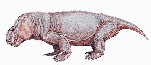 Vivaxosaurus