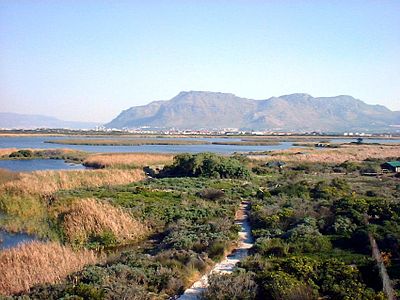 vlei