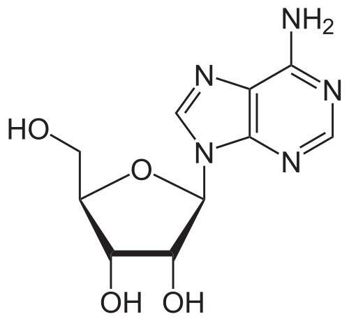 adenosine