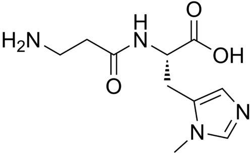 anserine