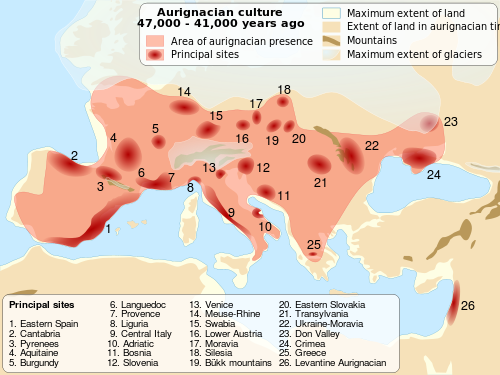 aurignacian