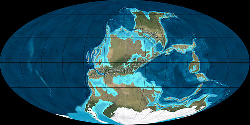 carboniferous