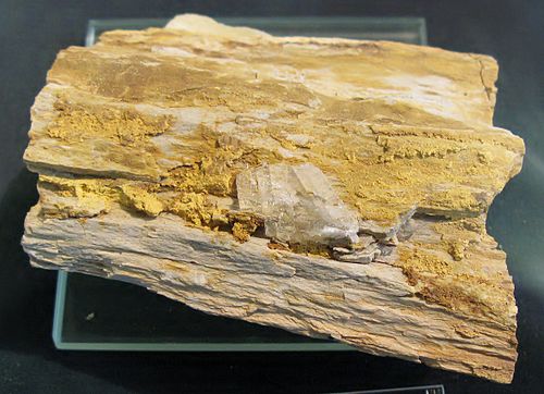 carnotite