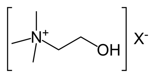 cholinergic