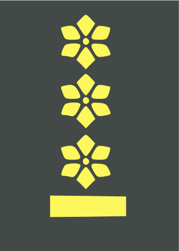 colonel