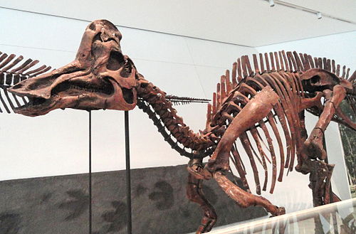 corythosaurus