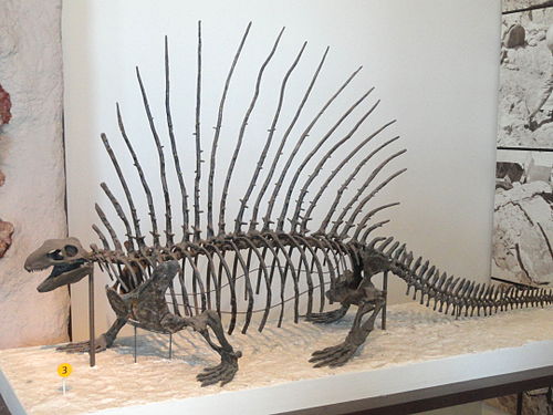 edaphosaurus