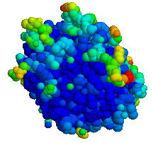 elastase