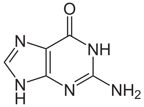 guanine