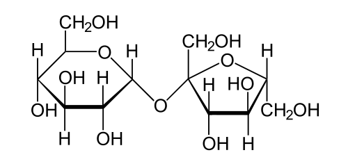 hydrolysis