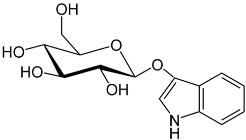 indican