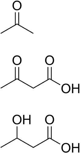 ketosis