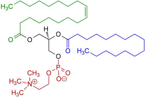 lecithin