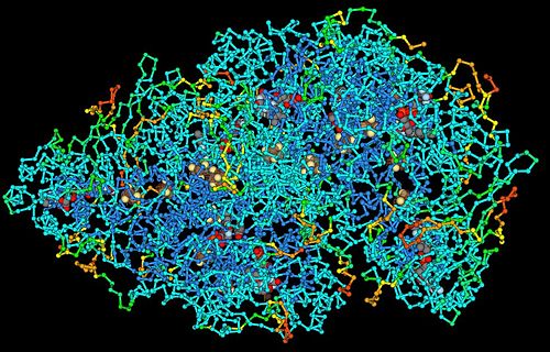 macromolecule