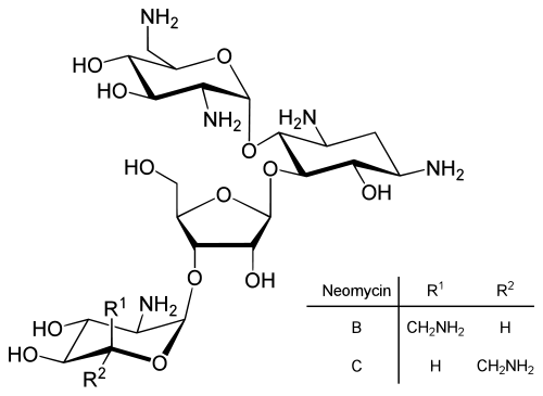 neomycin