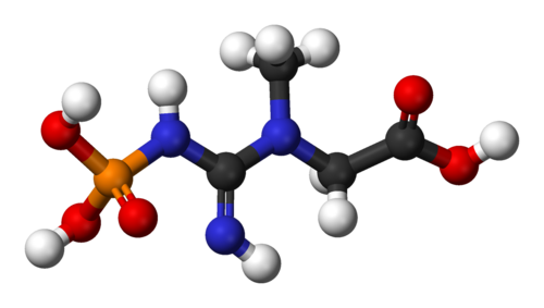 phosphocreatine