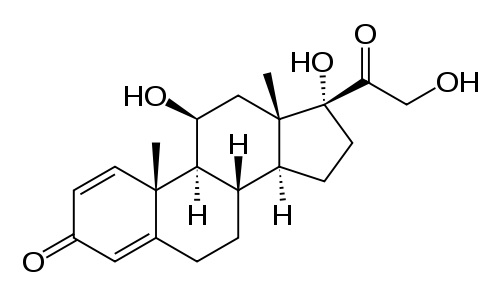 prednisolone