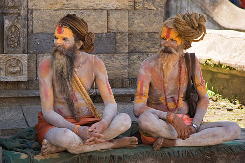 sadhu