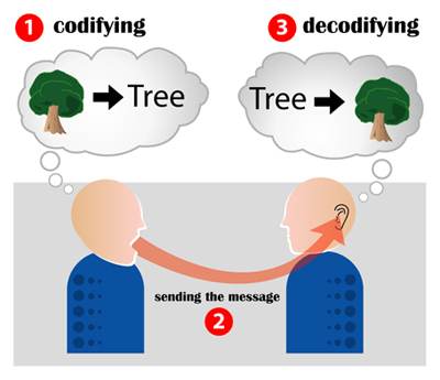 sociolinguistics