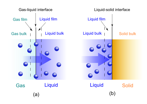 sorption