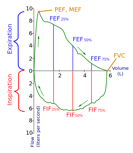 spirometry