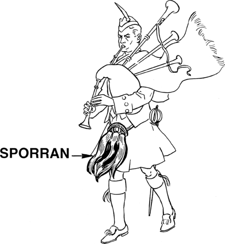 sporran