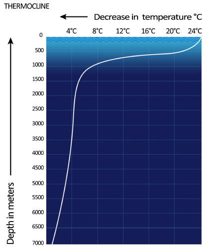 thermocline