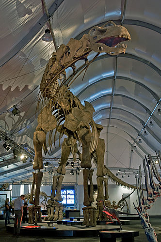 titanosaur