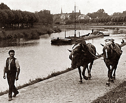 towpath