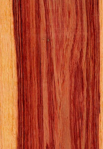 tulipwood