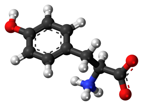 tyrosine