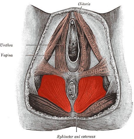 vaginismus